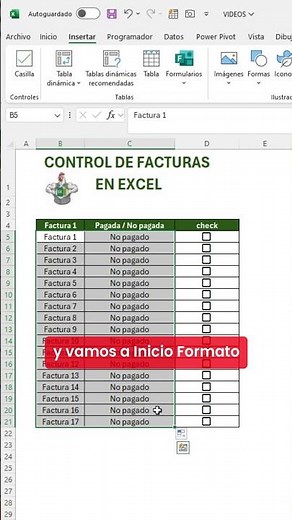 CONTROL WITH FORMATS FOR YOUR INVOICES IN EXCEL