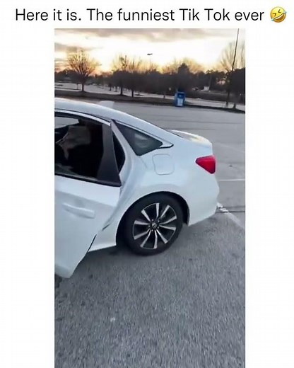 The Funniest TikTok Ever