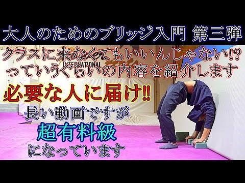 【大人のためのブリッジ入門③】肘を伸ばす、手首と肩を垂直にするためのストレッチ方法