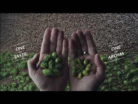 The Story of Grolsch