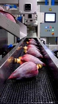 Inside a Hidden Banana Blossom Factory You’ve Never Seen Before! #howitsmade #factoryprocess #shorts