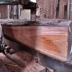 30K views · 489 reactions | satisfying process!! Sawmill Giant Log #sawmill #woodworking #wood #sawmillbusiness #lumber #logging #liveedge #woodworker #woodmizer #timber #forestry #woodwork #slabs #bandsawmill #woodshop #hardwood #reclaimedwood #liveedgewood #loggers #diy #urbanlogging #logginglife #fellerbuncher #carpentry #portablesawmill #chainsaw #skidders #woodpreneur #sawmilling #southernlogging | Sawmill & Woodworking | Facebook