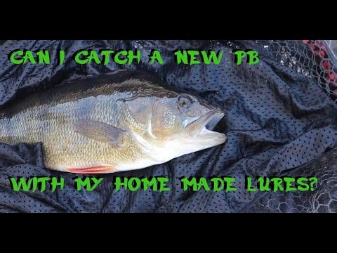 LURE FISHING FOR A PB PERCH [lure fishing]