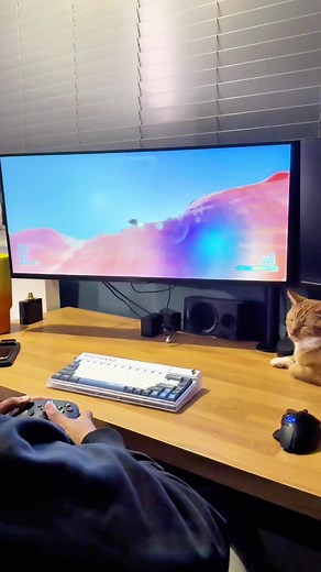 Samsung Viewfinity S5 34-Inch Monitor Review
