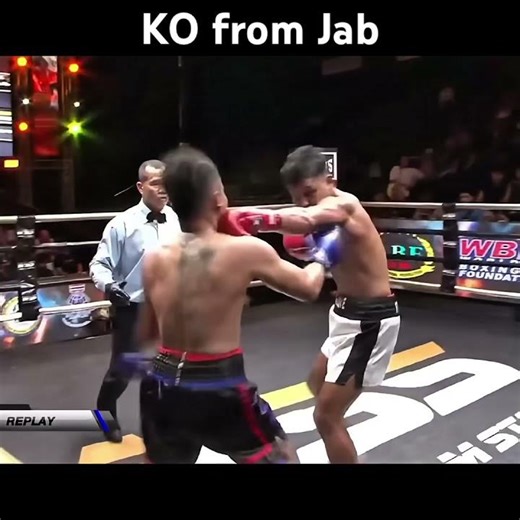 UNBELIEVABLE Knockout with a JAB! Boxing Highlights