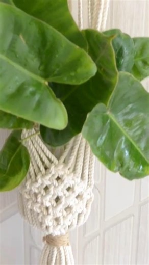 Macrame planter