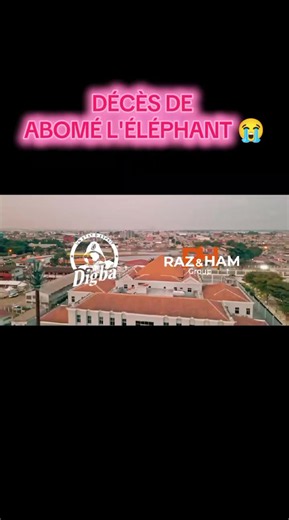 Décès d'Abomé l'éléphant : Réactions et hommages