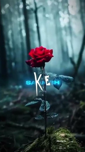 This is for you #songlyrics #song #love #viral #songsthis #like ##creative #sound #viralvideos