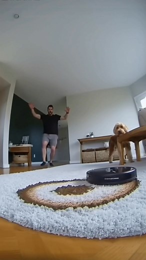 137K views · 339 reactions | Dog Poop Meets Robot Vacuum  | Bored Panda Animals | Facebook