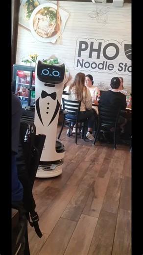Cute restaurants in Champaign, Illinois. Check out my video on https://youtu.be/-wu1vu_P4a4 #phonoodles #vietnamfood