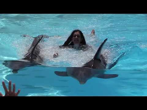Zoomarine Dolphin Emotions Premium, Algarve Portugal