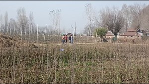 318 reactions · 154 shares | SALE of Grafted plants and Rootstocks Begins at Hi-Five Agro Skills Seloo as on 27.11.2022.contact:7006302900,7006829174. LIKE AND SHARE OUR PAGE. | Hi-Five Agro Skills | Facebook