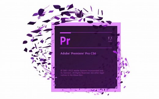 【Premiere新手向教程】从小白到新人UP主，你需要的一切都在这里