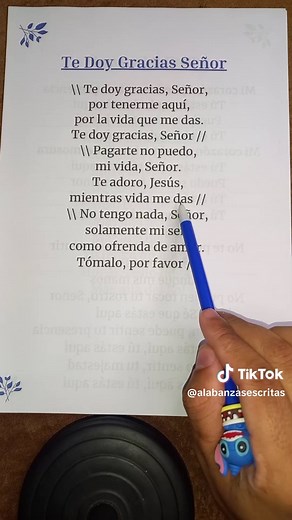 Te Doy Gracias Señor - Alabanza Cristiana