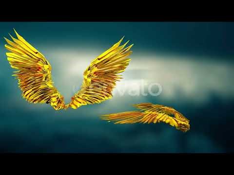 Angel Wings Golden Stock Footage