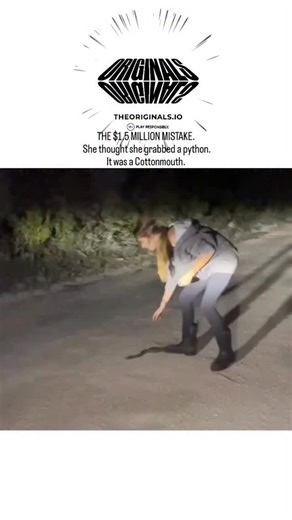 universe___education on Instagram: "- The post shares footage of Alyssa Ioia, who during a 2025 Florida python hunt mistook a venomous cottonmouth for a non-venomous python, suffering bites to both hands that required 70 vials of antivenom and four days in intensive care. - Her hospital bill totalled $1.58 million, with insurance covering most costs but leaving her responsible for $1,946, highlighting stark disparities in US healthcare pricing for emergency treatments. - With nearly 4 million vi