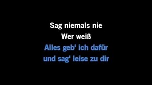 Karaoke Sag niemals nie - Andrea Berg - CDG, MP4, KFN - Karaoke Version