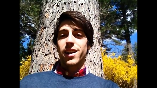 Bates Method 101： Sunning and How Light Affects Sight