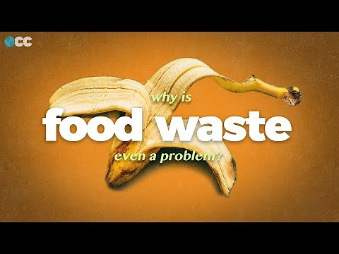 Food waste causes climate change. Here's how we stop it