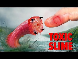 Giant Venomous Worm BITES!