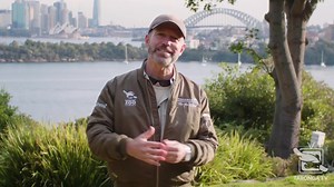 366 reactions · 14 shares | Did you know when you visit Taronga Zoo...