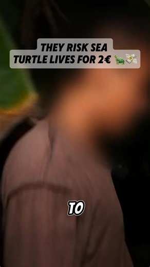 6K views · 22 reactions | Uncover the dark reality behind turtle egg trafficking  | Best Documentary | Facebook