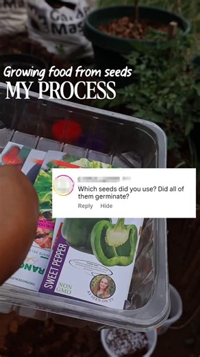 malesedee™️ on Instagram: "A few weeks back @soughtafterseedlings send me some of their seeds and I decided to use them as an experiment with the following purpose. a) To show how long it GENERALLY takes for seeds to germinate (real time line - labeled in the video). Including their strawberries which literally germinated in less than 10 days. A shocking improvement compared to other brands I tried before (I'll try to make a separate video for this) b) To explain the process I follow to grow foo