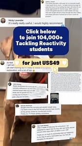 The best way to train your reactive dog is not to distract them, not to assert dominance, and definitely not punishing, correcting, or shouting at your dog. Reactive dog training methods based on distraction and redirection fail. Here’s why: Imagine luring your dog away with a cookie every time a person or dog comes too close… It’s not sustainable. Do you really want to distract your dog every single time you come across another person or dog? It won’t work every time. One day, you come across a