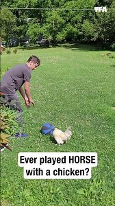 This chicken is a real ball hog 🐔🤣 #funny #shorts