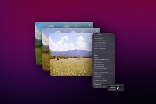 How to Use LUTs in DaVinci Resolve 17 - Motion Array