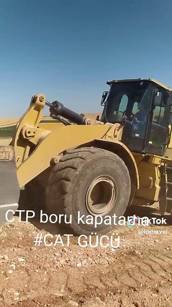 #loder #cat #tiktok #keşfet