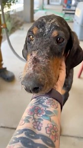 20K views · 1.2K reactions | If you missed it today we pulled 3...