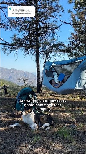 Hammock tent camping with a dog?? Answering your questions about the Haven Hammock Tent #campinggear