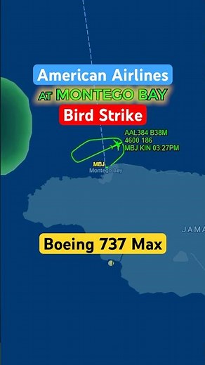Birds Hit Plane Right After Takeoff! #aviation #americanairlines #birdstrike