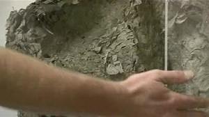 Why Yellow Jackets Are In Abundance This Fall