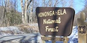 Monongahela National Forest announces road construction plans