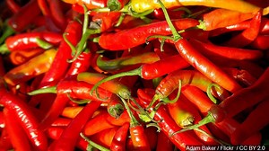 Doctors warn about dangers of spicy snacks for kids