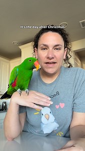 I am not feeling great today, but it is possibly one of the last truly warm days we are getting for a while, and I couldn’t pass up the opportunity to get some of the birds outside 😊 #rescue #birds #eclectus #amazon #macaw | The Green Bird Brigade