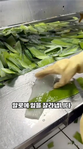 The process of making aloe gel