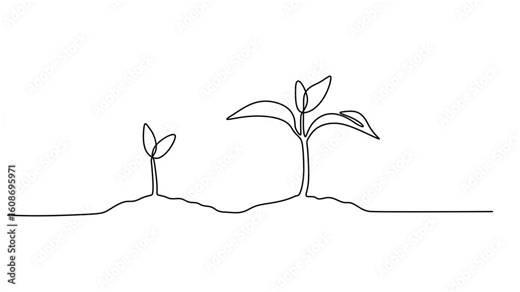 growing tree animation continuous one line drawing, Animated self drawing of continuous line draw of step of grow plant. Seeds sprout in ground. Seedling gardening plants, sprouts. Full length one