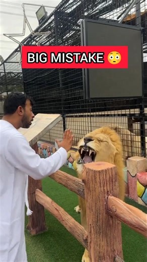 Tamed Lion Turned Aggressive in 1 Second! 🦁😳