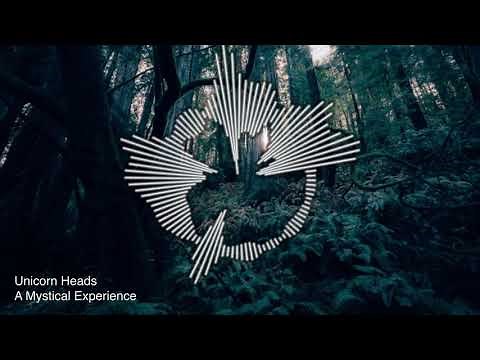 Unicorn Heads - A Mystical Experience