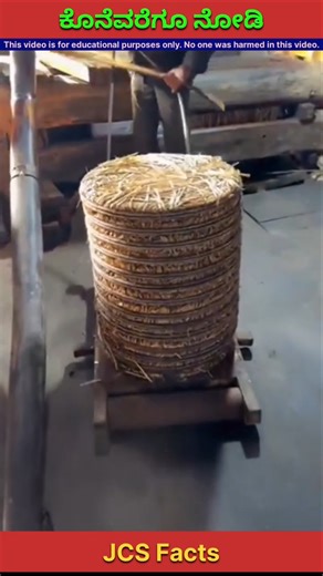 Unique Way of Extracting Groundnut Oil in China! #OilExtraction #factsinkannada #shorts