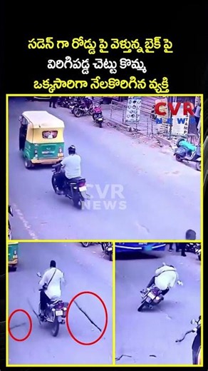 రోడ్డు పై వెళ్తున్న బైక్ పై విరిగిపడ్డ చెట్టు కొమ్మ ఒక్కసారిగా నేలకొరిగిన వ్యక్తి | Viral Video |CVR