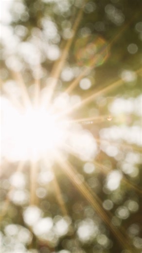 The most important part of the day for a tree care crew? Getting home safe. | Vermeer Environmental