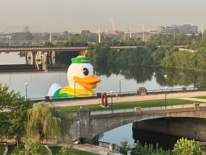 Big Ten football media days: Massive, inflatable Oregon Duck spotted floating river in Indianapolis