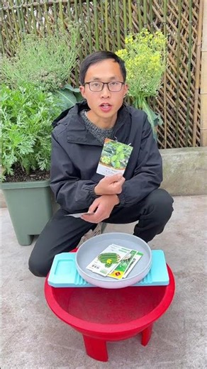 Grow Jade Girl Cucumber in Pots! Easy Spring Gardening