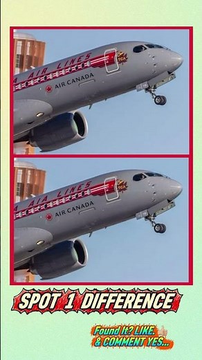 Can You Spot 1 Difference?
