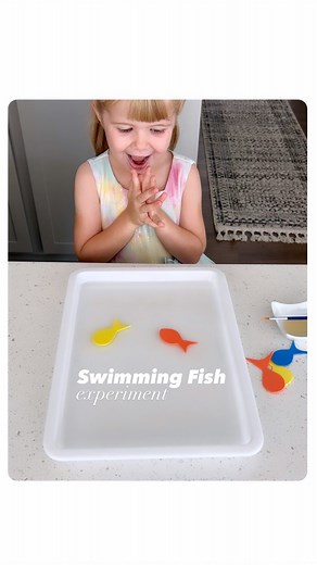 Rozanne | Bright Little Brains on Instagram: "“Magic swimming fish” is a fun science experiment you have to try with your toddler or preschooler!🙌🏻 This experiment is versatile to any theme, it doesn’t have to be 🐟 fish, you can cut out a 🚀 rocket or 🚤 boats or even 🐛 worms…😆 What materials do I need? 👉🏻Shallow tray filled with water 👉🏻Dish soap 👉🏻Foam paper 👉🏻Scissors 👉🏻Brush or Q-tip How does it work? 👉🏻Cut out some fish using foam sheets. (It’s important to make the fish’s