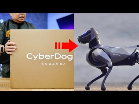 Ini Dia Robot Xiaomi, CyberDog 2, Lucu Ngegemesin